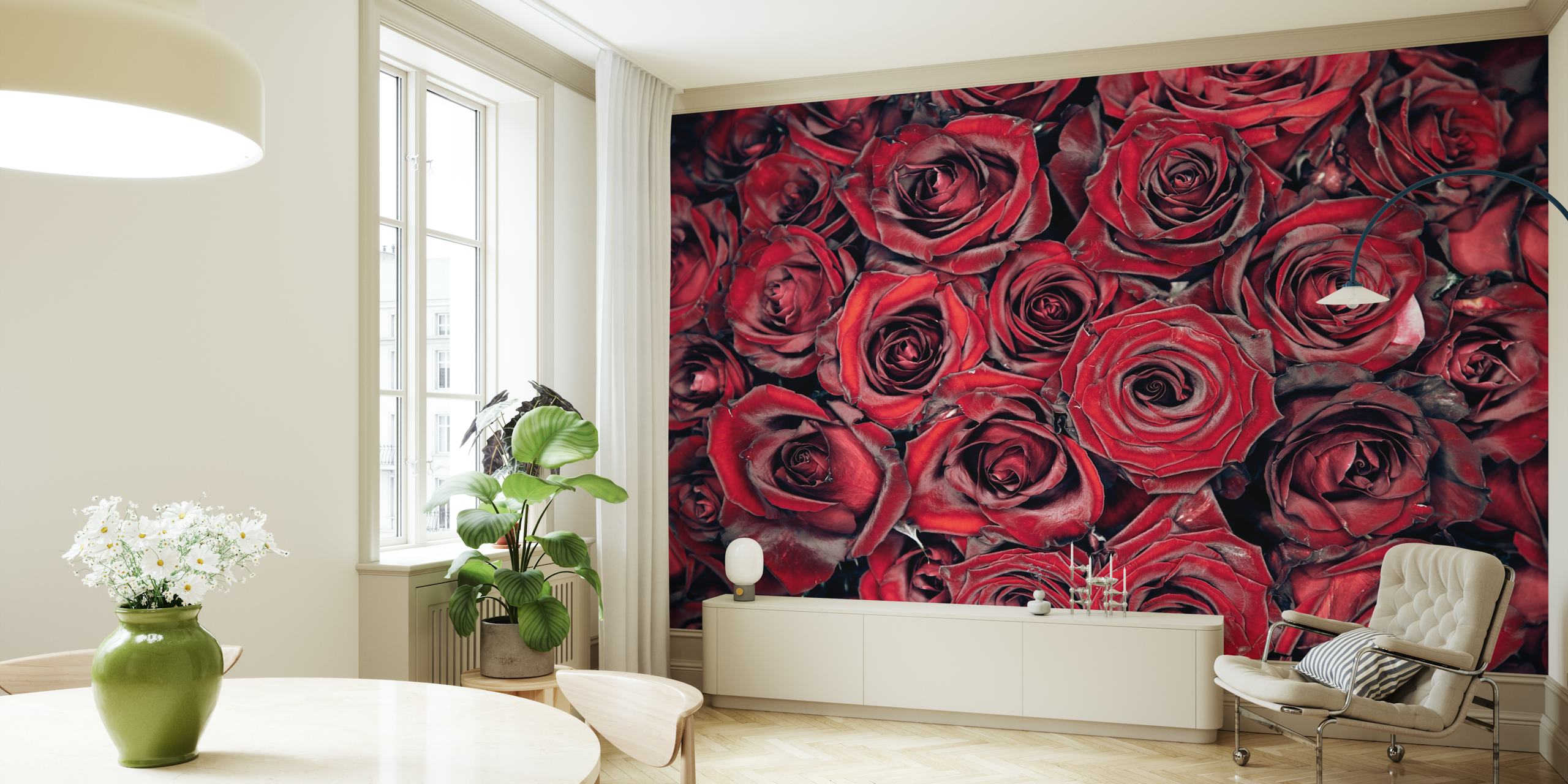 Close-up of red roses in various shades floral wallpaper